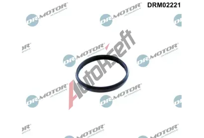 Dr.Motor Automotive T�sn�n� nap�na�e rozvodov�ho �et�zu DMA DRM02221, DRM02221