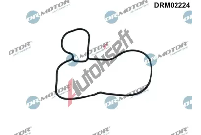 Dr.Motor Automotive Těsnění olejového čerpadla DMA DRM02224, DRM02224 Dr.Motor Automotive Těsnění olejového čerpadla DMA DRM02224, DRM02224