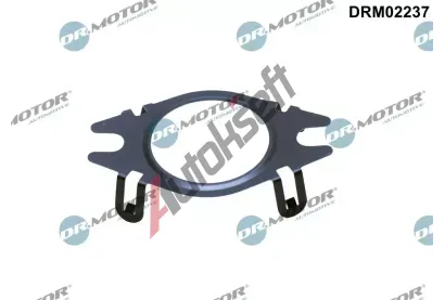 Dr.Motor Automotive Tsnn veden AGR ventilu DMA DRM02237, DRM02237
