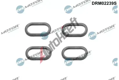 Dr.Motor Automotive Tsnn drku trysky DMA DRM02239S, DRM02239S