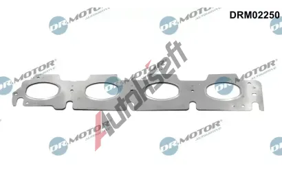 Dr.Motor Automotive Těsnění kolektoru výfukových plynů DMA DRM02250, DRM02250 Dr.Motor Automotive Těsnění kolektoru výfukových plynů DMA DRM02250, DRM02250