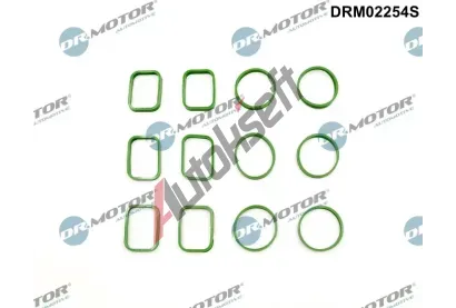 Dr.Motor Automotive Sada těsnění kolena sacího potrubí DMA DRM02254S, DRM02254S Dr.Motor Automotive Sada těsnění kolena sacího potrubí DMA DRM02254S, DRM02254S