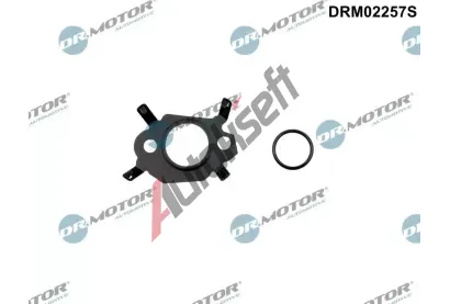 Dr.Motor Automotive Sada tsnn - AGR systm DMA DRM02257S, DRM02257S