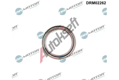 Dr.Motor Automotive Těsnicí kroužek klikového hřídele DMA DRM02262, DRM02262 Dr.Motor Automotive Těsnicí kroužek klikového hřídele DMA DRM02262, DRM02262