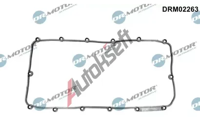 Dr.Motor Automotive T�sn�n� krytu hlavy v�lce DMA DRM02263, DRM02263