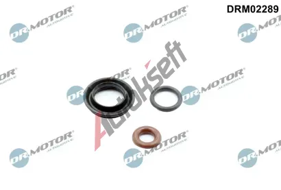 Dr.Motor Automotive Sada tsnn vstikovac trysky DMA DRM02289, DRM02289