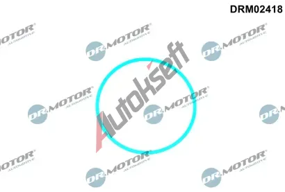 Dr.Motor Automotive Těsnění palivového čerpadla DMA DRM02418, DRM02418 Dr.Motor Automotive Těsnění palivového čerpadla DMA DRM02418, DRM02418