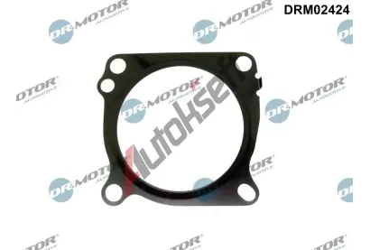 Dr.Motor Automotive Tsnn, hrdlo krtc klapky DMA DRM02424, DRM02424