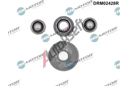 Dr.Motor Automotive Sada na opravu řadicí páky DMA DRM02428R, DRM02428R Dr.Motor Automotive Sada na opravu řadicí páky DMA DRM02428R, DRM02428R