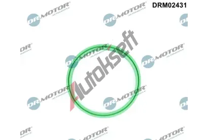 Dr.Motor Automotive T�snic� krou�ek hadice plnic�ho vzduchu DMA DRM02431, DRM02431