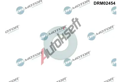 Dr.Motor Automotive Těsnění palivového potrubí DMA DRM02454, DRM02454 Dr.Motor Automotive Těsnění palivového potrubí DMA DRM02454, DRM02454