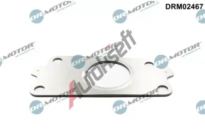 Dr.Motor Automotive Těsnění dmychadla DMA DRM02467, DRM02467 Dr.Motor Automotive Těsnění dmychadla DMA DRM02467, DRM02467