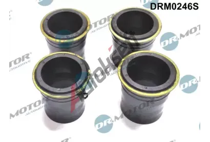 Dr.Motor Automotive Tsnn drku trysky DMA DRM0246S, DRM0246S