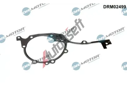 Dr.Motor Automotive T�sn�n� rozvodov�ho �stroj� DMA DRM02499, DRM02499