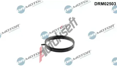 Dr.Motor Automotive Těsnění trubky chladiva DMA DRM02503, DRM02503 Dr.Motor Automotive Těsnění trubky chladiva DMA DRM02503, DRM02503