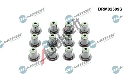 Dr.Motor Automotive Sada těsnění dříku ventilu DMA DRM02509S, DRM02509S Dr.Motor Automotive Sada těsnění dříku ventilu DMA DRM02509S, DRM02509S