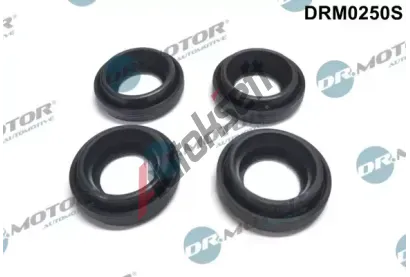 Dr.Motor Automotive Tsnn drku trysky DMA DRM0250S, DRM0250S