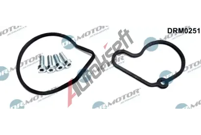 Dr.Motor Automotive Opravná sada podtlakové pumpy (brzdová soustava) DMA DRM0251, DRM0251 Dr.Motor Automotive Opravná sada podtlakové pumpy (brzdová soustava) DMA DRM0251, DRM0251