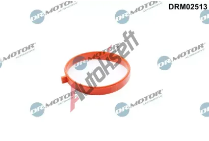 Dr.Motor Automotive T�sn�n�, hrdlo �krt�c� klapky DMA DRM02513, DRM02513