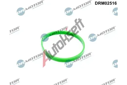 Dr.Motor Automotive Tsnn kolena sacho potrub DMA DRM02516, DRM02516