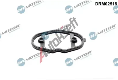 Dr.Motor Automotive Tsnn palivovho erpadla DMA DRM02518, DRM02518