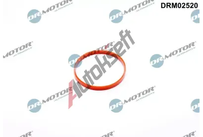 Dr.Motor Automotive T�sn�n�, hrdlo �krt�c� klapky DMA DRM02520, DRM02520