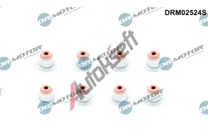 Dr.Motor Automotive Sada tsnn dku ventilu DMA DRM02524S, DRM02524S