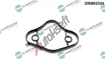 Dr.Motor Automotive T�sn�n� palivov�ho �erpadla DMA DRM02526, DRM02526