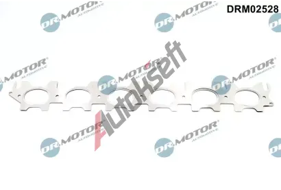 Dr.Motor Automotive Těsnění kolektoru výfukových plynů DMA DRM02528, DRM02528 Dr.Motor Automotive Těsnění kolektoru výfukových plynů DMA DRM02528, DRM02528