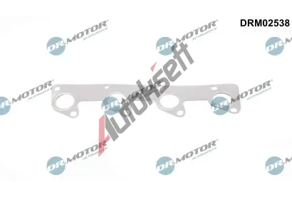 Dr.Motor Automotive Těsnění kolektoru výfukových plynů DMA DRM02538, DRM02538 Dr.Motor Automotive Těsnění kolektoru výfukových plynů DMA DRM02538, DRM02538
