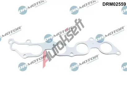 Dr.Motor Automotive Tsnn kolektoru vfukovch plyn DMA DRM02559, DRM02559