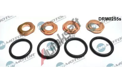 Dr.Motor Automotive Sada těsnění vstřikovací trysky DMA DRM0255S, DRM0255S Dr.Motor Automotive Sada těsnění vstřikovací trysky DMA DRM0255S, DRM0255S