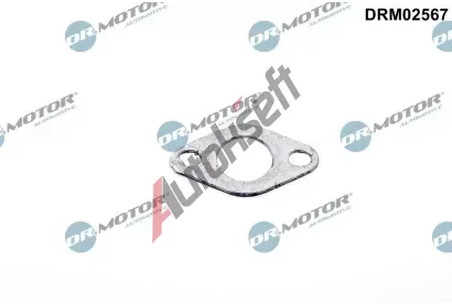 Dr.Motor Automotive Těsnění ventilu sekundárního vzduchu DMA DRM02567, DRM02567 Dr.Motor Automotive Těsnění ventilu sekundárního vzduchu DMA DRM02567, DRM02567