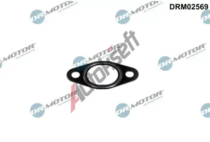 Dr.Motor Automotive Tsnn veden AGR ventilu DMA DRM02569, DRM02569