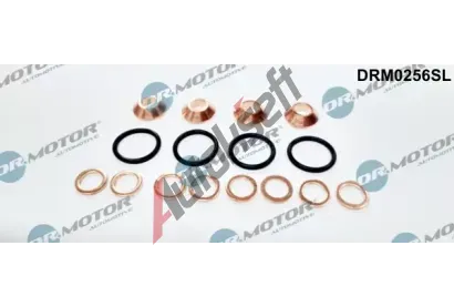 Dr.Motor Automotive Sada tsnn vstikovac trysky DMA DRM0256SL, DRM0256SL