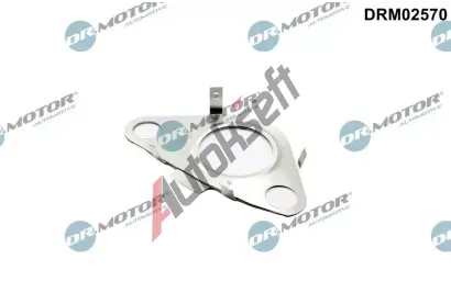 Dr.Motor Automotive Těsnění vedení AGR ventilu DMA DRM02570, DRM02570 Dr.Motor Automotive Těsnění vedení AGR ventilu DMA DRM02570, DRM02570