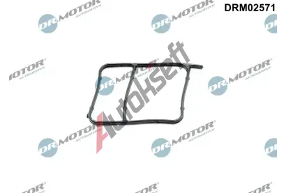 Dr.Motor Automotive T�sn�n� vodn�ho �erpadla DMA DRM02571, DRM02571