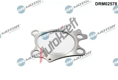 Dr.Motor Automotive Těsnění výfukové trubky DMA DRM02578, DRM02578 Dr.Motor Automotive Těsnění výfukové trubky DMA DRM02578, DRM02578