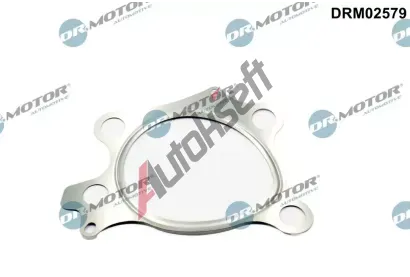 Dr.Motor Automotive Tsnn vfukov trubky DMA DRM02579, DRM02579