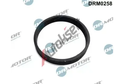 Dr.Motor Automotive Těsnění přívodu turbiny DMA DRM0258, DRM0258 Dr.Motor Automotive Těsnění přívodu turbiny DMA DRM0258, DRM0258