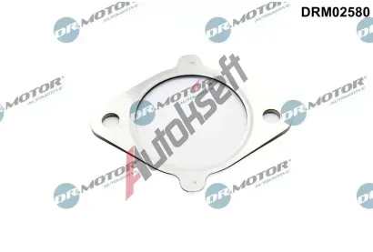 Dr.Motor Automotive Tsnn AGR ventilu DMA DRM02580, DRM02580
