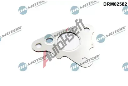 Dr.Motor Automotive Tsnn veden AGR ventilu DMA DRM02582, DRM02582