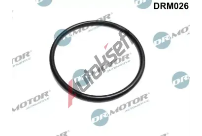 Dr.Motor Automotive Těsnění, hrdlo škrtící klapky DMA DRM026, DRM026 Dr.Motor Automotive Těsnění, hrdlo škrtící klapky DMA DRM026, DRM026