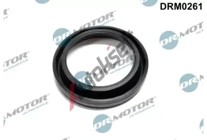 Dr.Motor Automotive Tsnn drku trysky DMA DRM0261, DRM0261