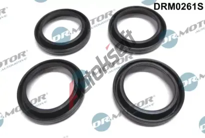 Dr.Motor Automotive Tsnn drku trysky DMA DRM0261S, DRM0261S