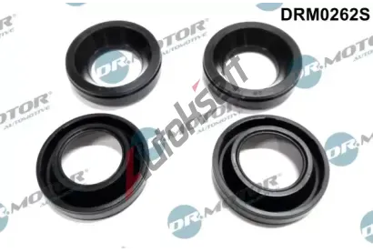 Dr.Motor Automotive Tsnn drku trysky DMA DRM0262S, DRM0262S