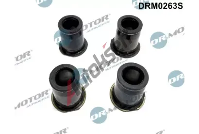 Dr.Motor Automotive Tsnn drku trysky DMA DRM0263S, DRM0263S