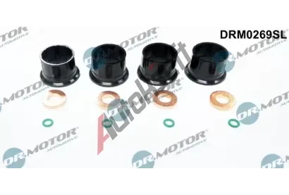 Dr.Motor Automotive Sada těsnění vstřikovací trysky DMA DRM0269SL, DRM0269SL Dr.Motor Automotive Sada těsnění vstřikovací trysky DMA DRM0269SL, DRM0269SL