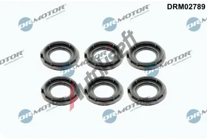 Dr.Motor Automotive Tsnn krytu hlavy vlce DMA DRM02789, DRM02789