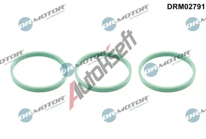 Dr.Motor Automotive Těsnění kolena sacího potrubí DMA DRM02791, DRM02791 Dr.Motor Automotive Těsnění kolena sacího potrubí DMA DRM02791, DRM02791